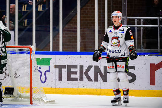 Malmö Redhawks Fredrik Händemark deppar