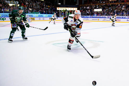 Malmö Redhawks Emil Sylvegård