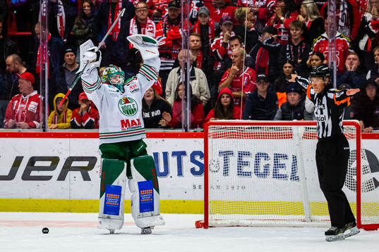 Rögles målvakt Christoffer Rifalk jublar