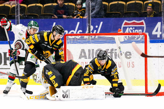Skellefteås Robin Alvarez, målvakt Gustaf Lindvall  och