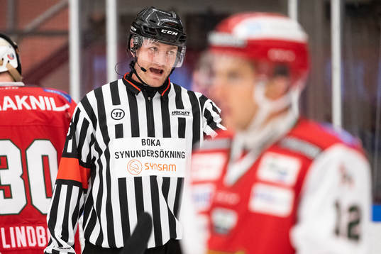 Huvuddomare Daniel Eriksson
