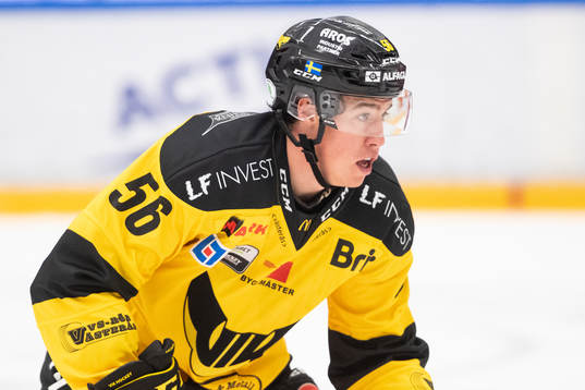 Västerås Alexander Lunsjö