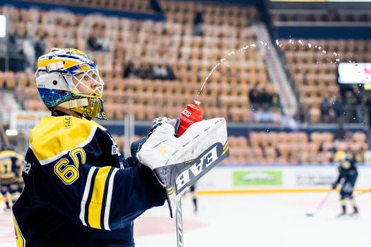 s målvakt Hugo Alnefelt