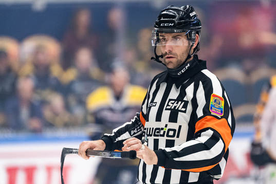 Domare Mikael Sjöqvist