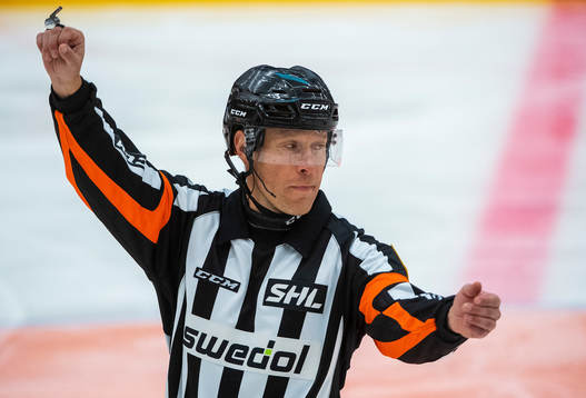 Domaren Tobias Björk