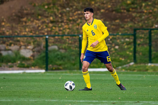Sveriges Emin Hasic