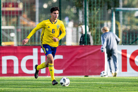 Sveriges Emin Hasic
