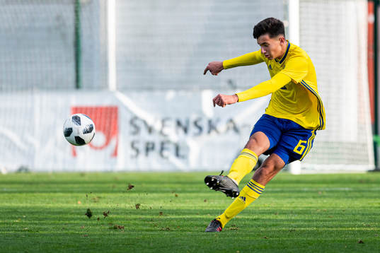 Sveriges Emin Hasic