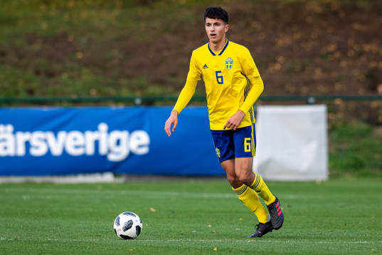 Sveriges Emin Hasic