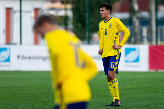 Sveriges Emin Hasic deppar