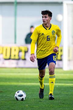 Sveriges Emin Hasic