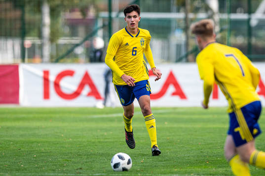 Sveriges Emin Hasic