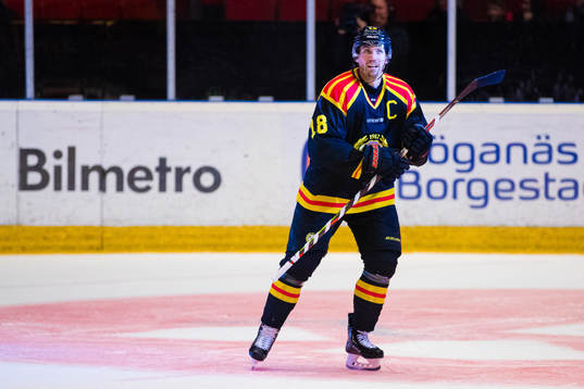 Brynäs Anton Rödin