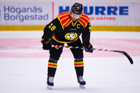 Brynäs Anton Rödin