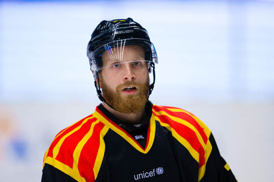 Brynäs Joachim Rodin