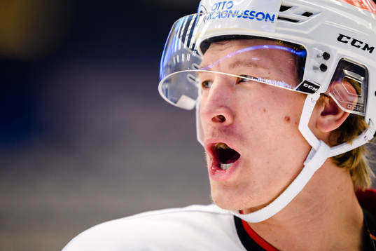 Malmö Redhawks Emil Sylvegård