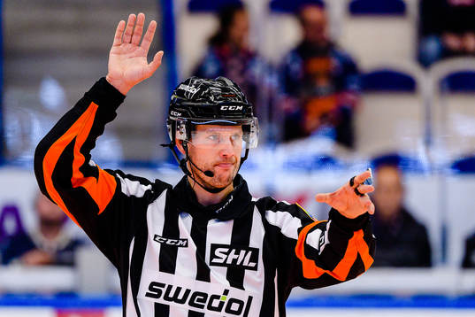 Domare Johan Magnusson