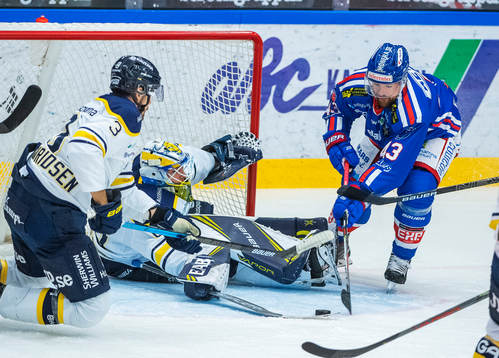 s målvakt Hugo Alnefelt