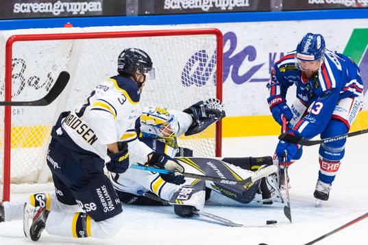 s målvakt Hugo Alnefelt