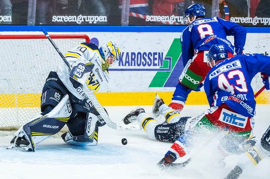 s målvakt Hugo Alnefelt