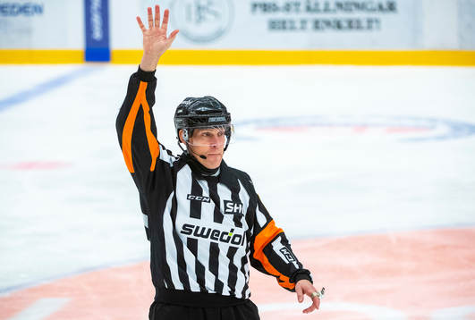 Domare Morgan Johansson