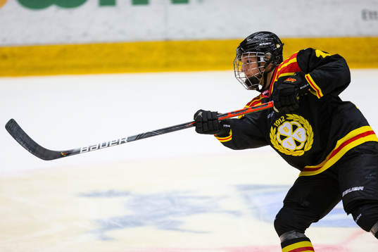 Brynäs Lara Stalder
