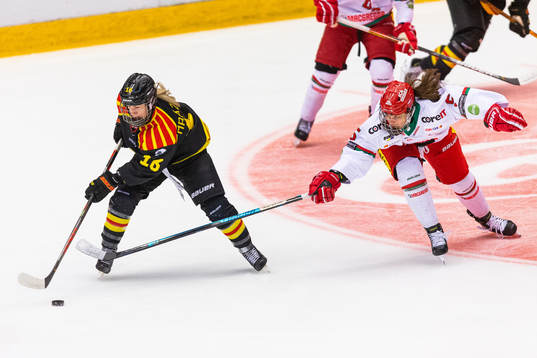 Bläddra bland fler bilder av Ishockey, SDHL, Brynäs - Modo