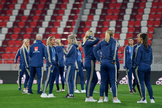 Players of Sweden inspects the pitch