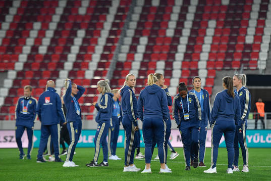 Players of Sweden inspects the pitch
