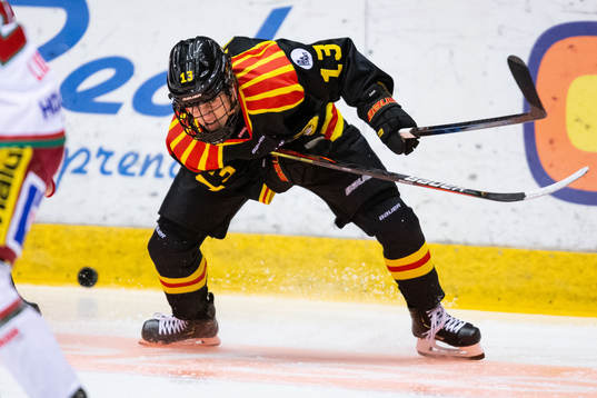 Brynäs Michela Cava