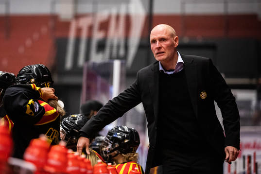 Brynäs assisterande tränare Magnus Carlsson
