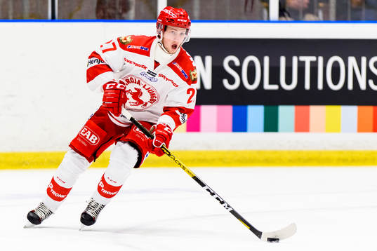 Troja/Ljungbys William Romfors