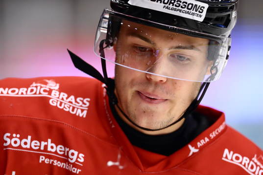 Vita Hästens Anton Danielsson