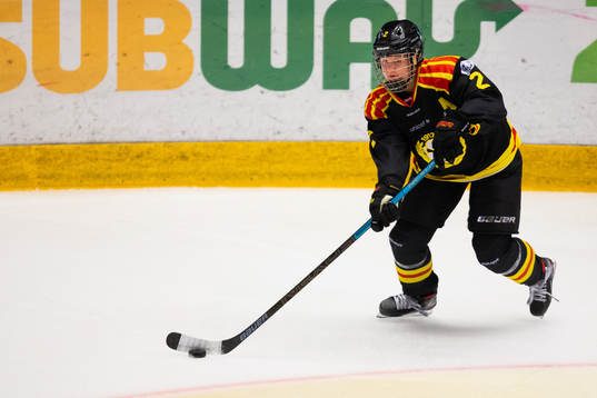 Brynäs Maja Nylén-Persson