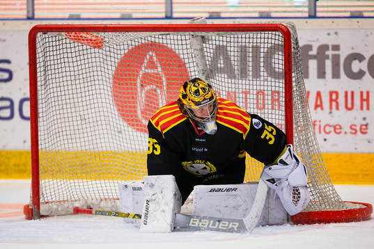 Brynäs målvakt Ellen Jonsson deppar