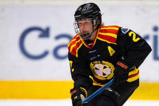 Brynäs Maja Nylén-Persson