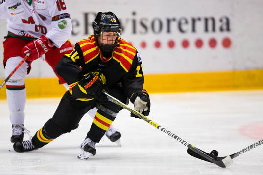 Brynäs Denisa Krizova