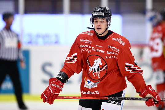 Vita Hästens Anton Danielsson