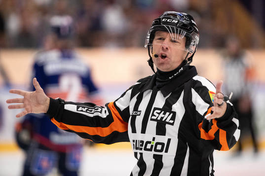 Huvuddomare Wolmer Edqvist