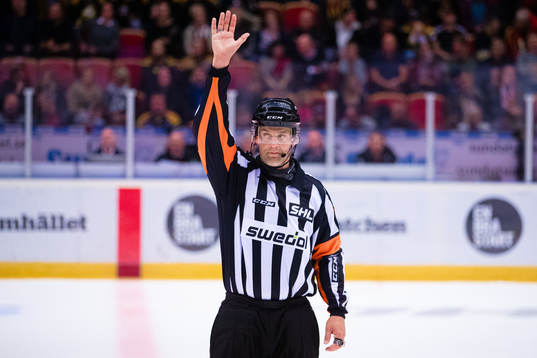Domare Mikael Nord