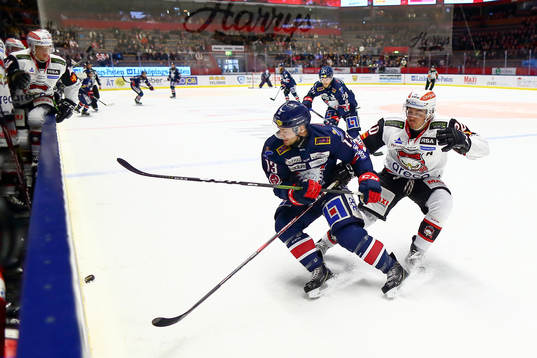 Linköpings Andrew Gordon och Malmö Redhawks Henrik Hetta