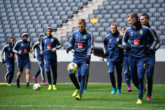 Sebastian Larsson and Emil Krafth of the Swedish national