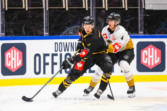 Bläddra bland fler bilder av Ice Hockey, CHL, Skellefteå - Kärpät