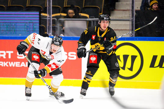 Andreas Wingerli  of Skellefteå and Jasper Lindsten of