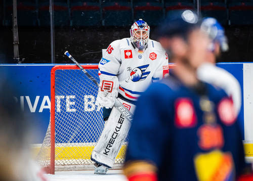 Goalkeeper Johan Gustafsson of Adler Mannheim
