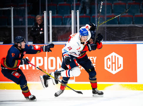 Borna Rendulic of Adler Mannheim and Marcus Högström of