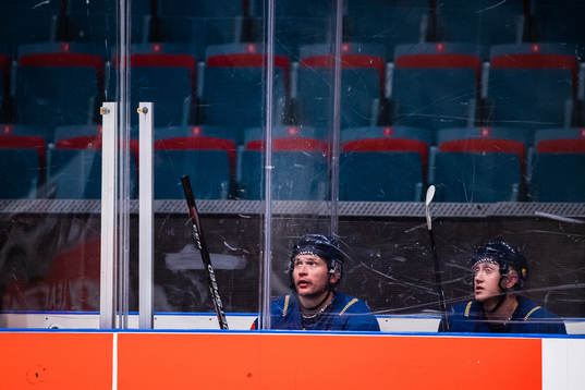 Niclas Bergfors and Olle Alsing of Djurgården in the
