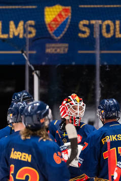 goalkeeper Karri Rämö of Djurgården celebrate with team