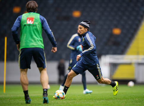 Albin Ekdal of the Swedish national football team