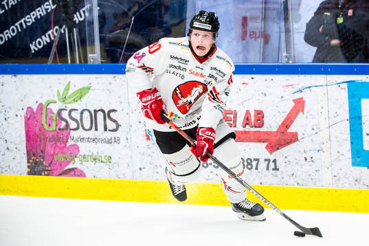 Vita Hästens Anton Johansson